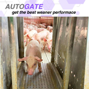 Autogate 13.webp