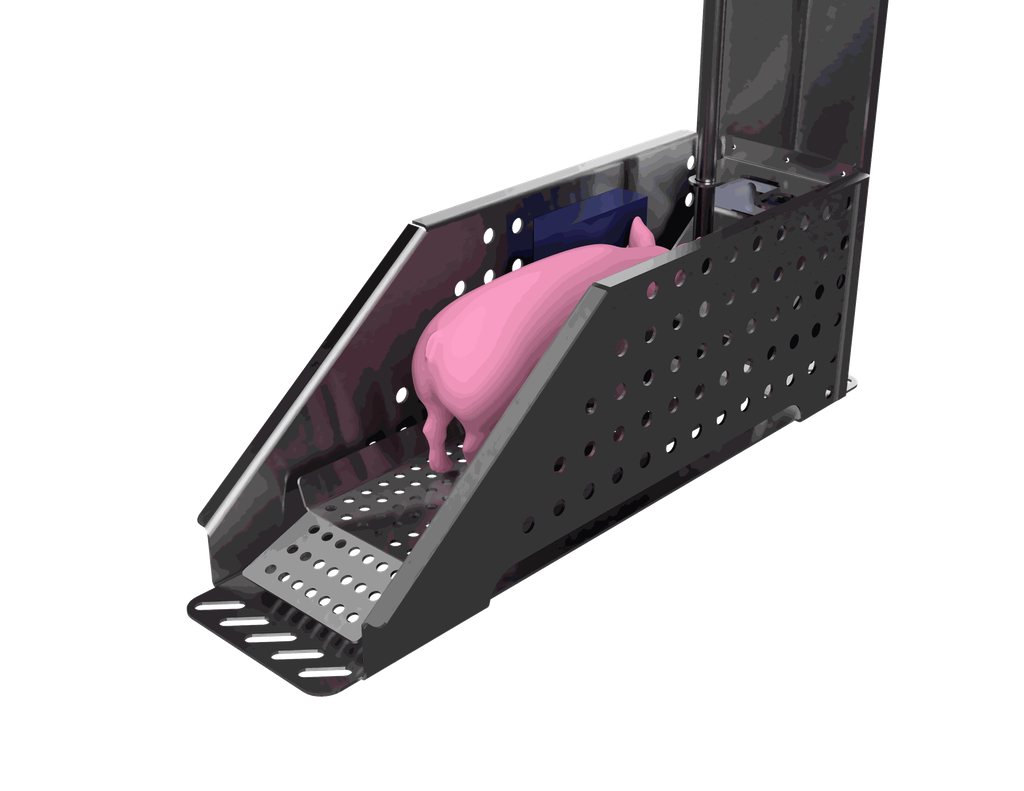 Pigwebscale_2_2023-Mar-12_09-49-01PM-000_CustomizedView5174521676.webp